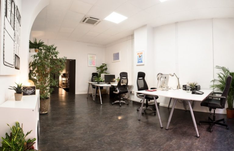 Oficina moderna con escritorios, plantas y luz natural.